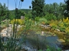 jagstblick-teich-01